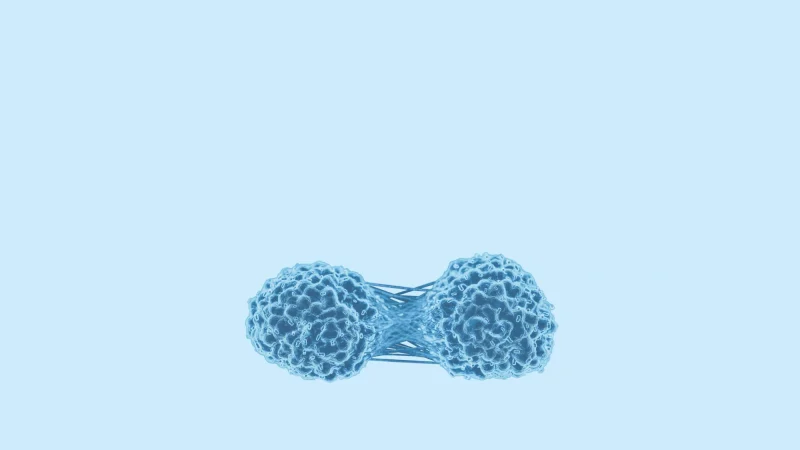 DiviTum TKa blood test measures thymidine kinase activity which reflects cell proliferation. Divitum TKa is a test used by oncologists.